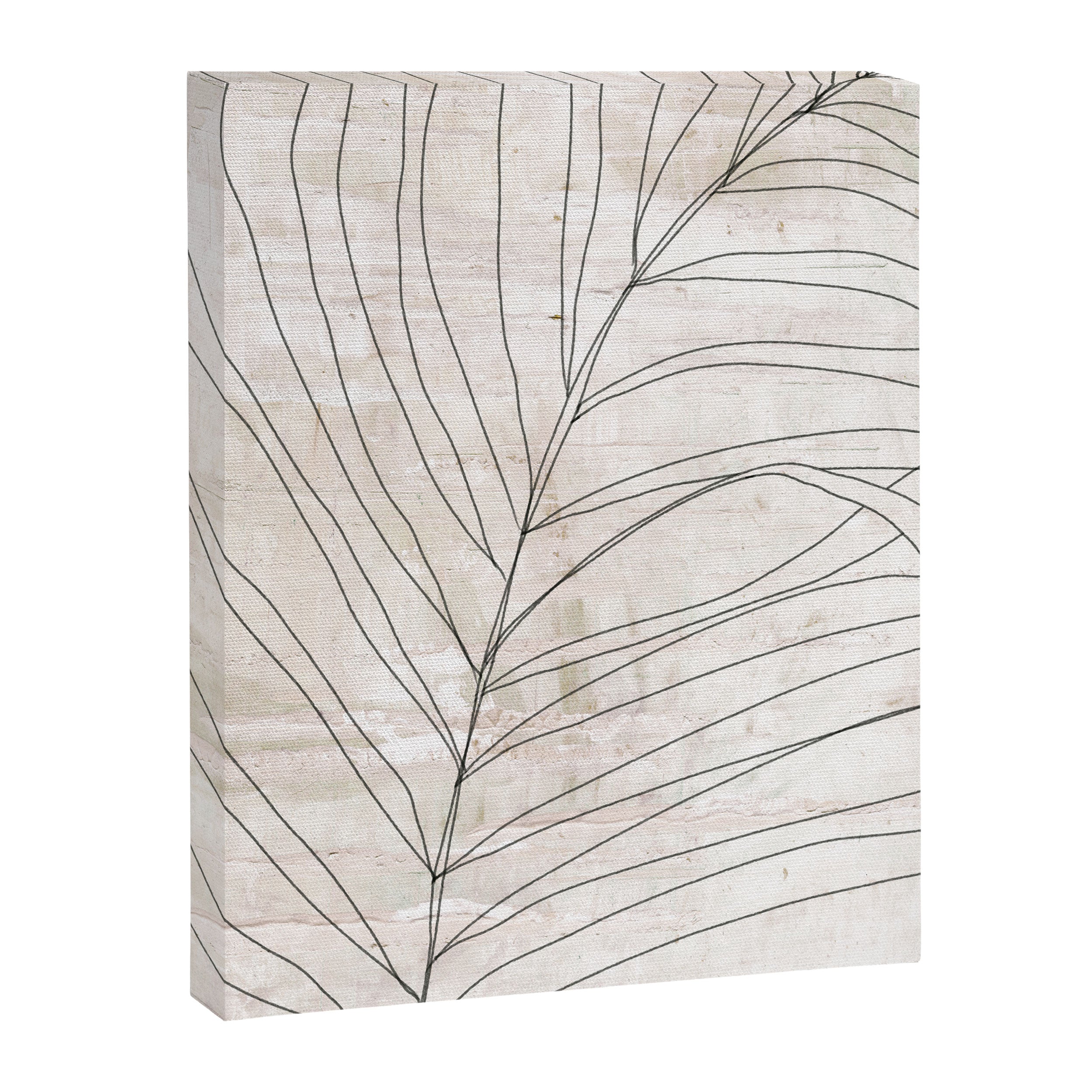 Rough botanical pencil drawing of a palm leaf Canvas Print Gallery Image 6