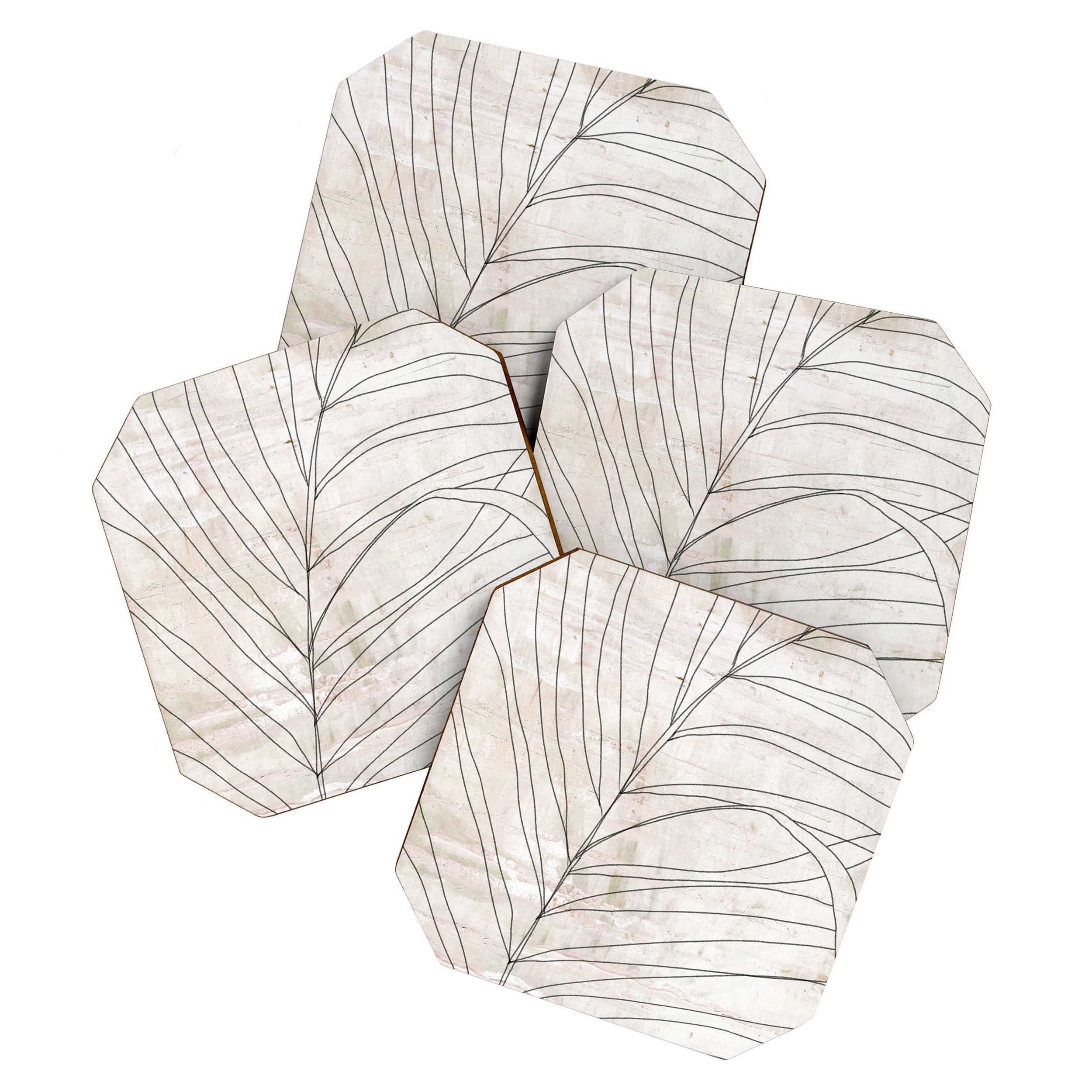 Rough botanical pencil drawing of a palm leaf Coaster Gallery Image 1