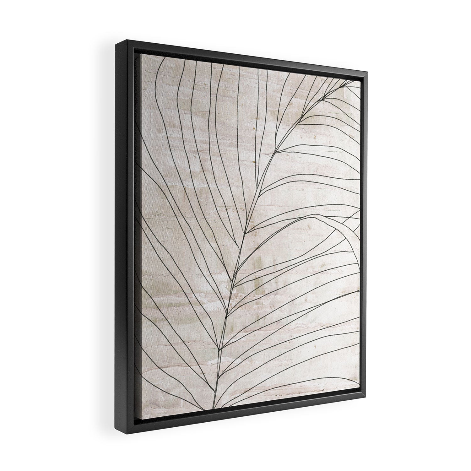 Rough botanical pencil drawing of a palm leaf Framed Canvas Print Gallery Image 2