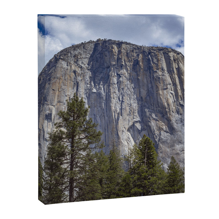 El Capitan Yosemite National Park Canvas Print Gallery Image 1