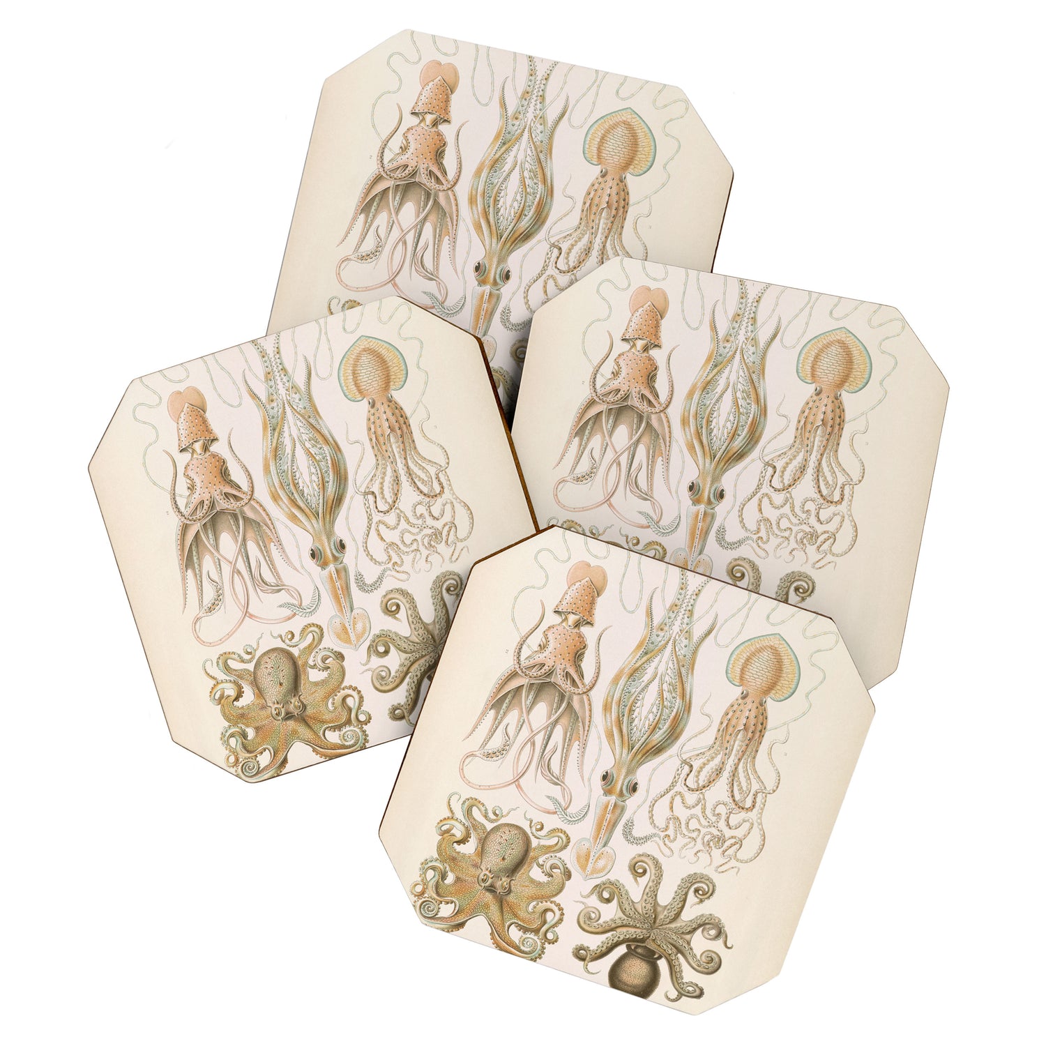 Vintage Octopus Illustration Print, Scientific Illustrations, Octopus Print, Octopus Wall Art Coaster Gallery Image 1