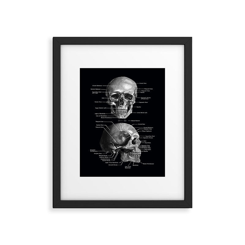 Skull Anatomy - Dark Version Framed Art Print Gallery Image 6