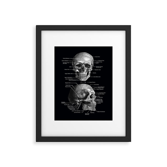 Skull Anatomy - Dark Version Framed Art Print Gallery Image 1