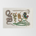 Snakes Birds Sunflower Art Print by Albertus Seba Rug Gallery Image 2