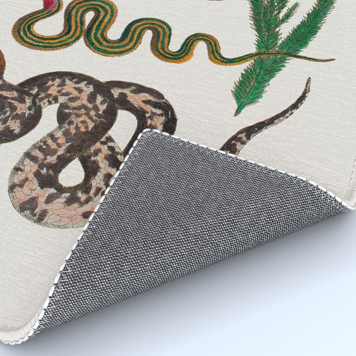Snakes Birds Sunflower Art Print by Albertus Seba Rug Gallery Image 4