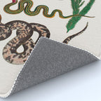 Snakes Birds Sunflower Art Print by Albertus Seba Rug Gallery Image 4