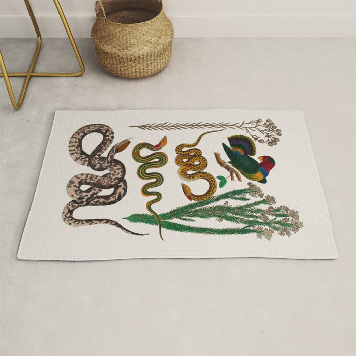 Snakes Birds Sunflower Art Print by Albertus Seba Rug Gallery Image 1