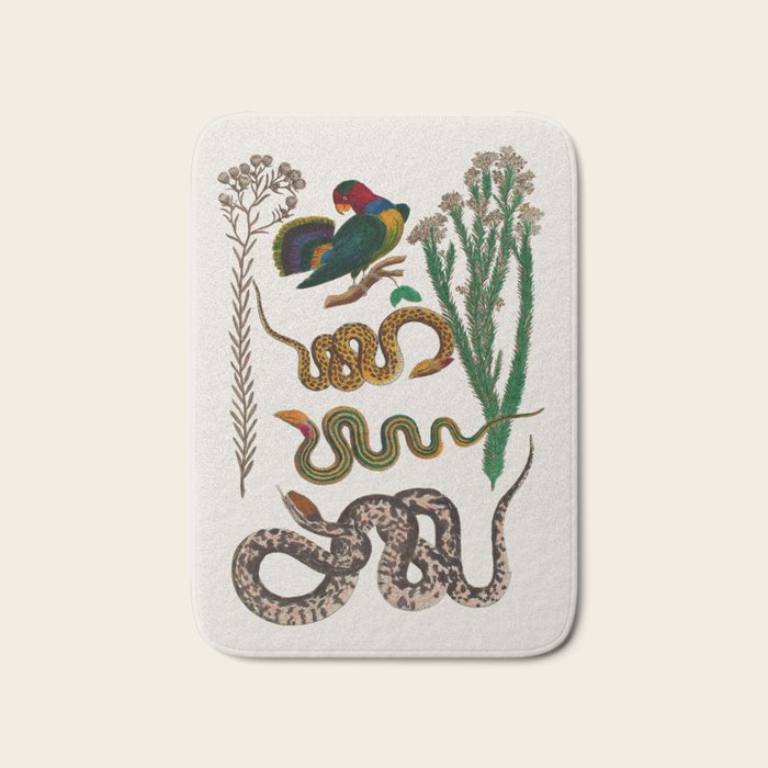 Snakes Birds Sunflower Art Print by Albertus Seba Bath Mat Gallery Image 1