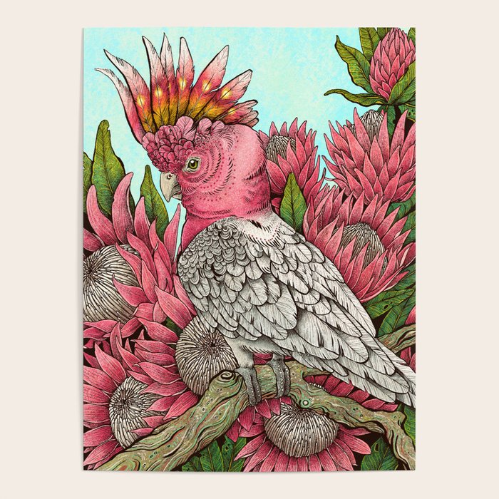 Major Mitchells Cockatoo Poster Gallery Image 1