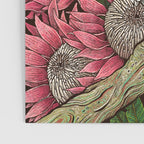 Major Mitchells Cockatoo Poster Gallery Image 3