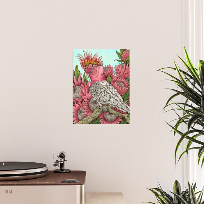 Major Mitchells Cockatoo Poster Gallery Image 2