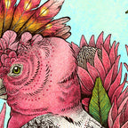 Major Mitchells Cockatoo Coffee Mug Gallery Image 2