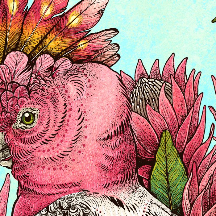 Major Mitchells Cockatoo Coffee Mug Gallery Image 2