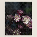 Full moon forest - still life dark astrantia major flowers - deep purple fall nature photography. Jigsaw Puzzle Gallery Image 1