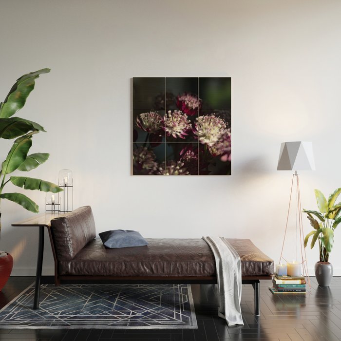 Full moon forest - still life dark astrantia major flowers - deep purple fall nature photography. Wood Wall Art Gallery Image 2