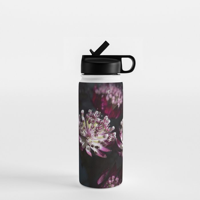 Full moon forest - still life dark astrantia major flowers - deep purple fall nature photography. Water Bottle Gallery Image 1