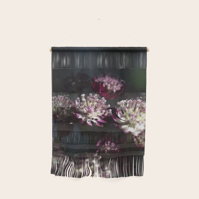 Full moon forest - still life dark astrantia major flowers - deep purple fall nature photography. Wall Hanging Gallery Image 1