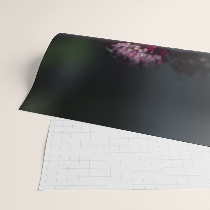 Full moon forest - still life dark astrantia major flowers - deep purple fall nature photography. Wrapping Paper Gallery Image 2