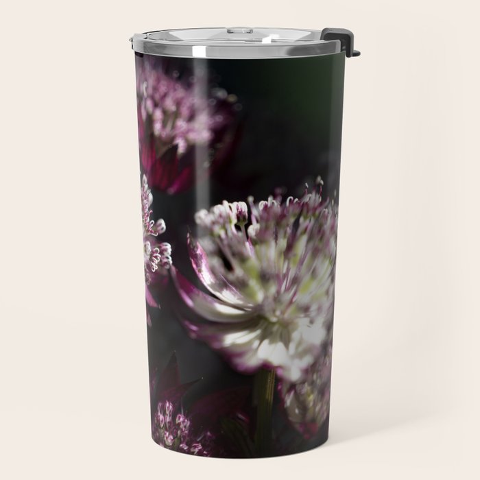 Full moon forest - still life dark astrantia major flowers - deep purple fall nature photography. Travel Mug Gallery Image 2