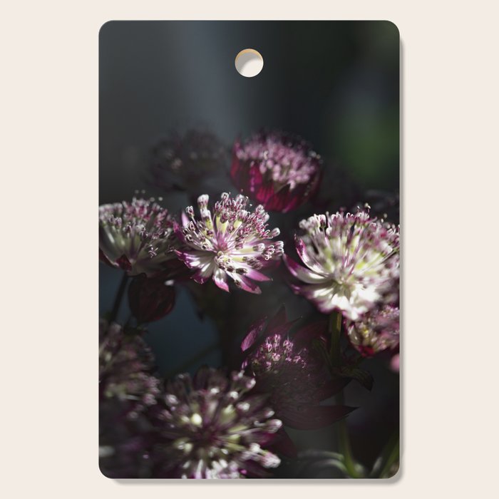 Full moon forest - still life dark astrantia major flowers - deep purple fall nature photography. Cutting Board Gallery Image 1