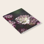 Full moon forest - still life dark astrantia major flowers - deep purple fall nature photography. Notebook Gallery Image 2