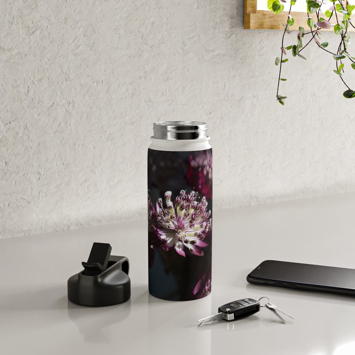 Full moon forest - still life dark astrantia major flowers - deep purple fall nature photography. Water Bottle Gallery Image 4