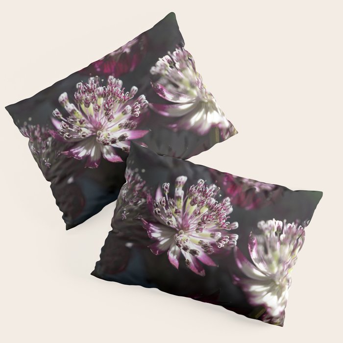 Full moon forest - still life dark astrantia major flowers - deep purple fall nature photography. Pillow Sham Gallery Image 3