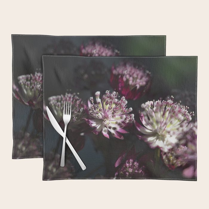 Full moon forest - still life dark astrantia major flowers - deep purple fall nature photography. Placemat Gallery Image 1