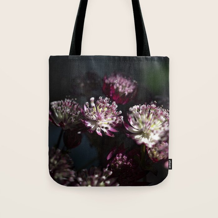 Full moon forest - still life dark astrantia major flowers - deep purple fall nature photography. Tote Bag Gallery Image 1
