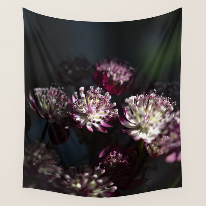 Full moon forest - still life dark astrantia major flowers - deep purple fall nature photography. Wall Tapestry Gallery Image 4