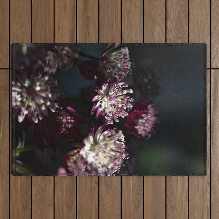 Full moon forest - still life dark astrantia major flowers - deep purple fall nature photography. Outdoor Rug Gallery Image 1