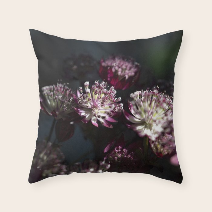 Full moon forest - still life dark astrantia major flowers - deep purple fall nature photography. Throw Pillow Gallery Image 6