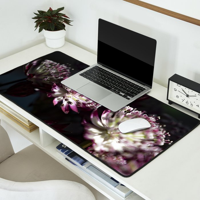 Full moon forest - still life dark astrantia major flowers - deep purple fall nature photography. Desk Mat Gallery Image 2