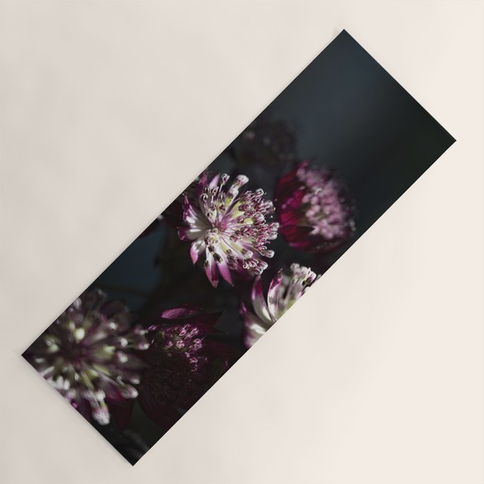 Full moon forest - still life dark astrantia major flowers - deep purple fall nature photography. Yoga Mat Gallery Image 1