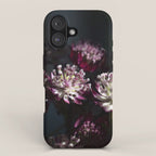 Full moon forest - still life dark astrantia major flowers - deep purple fall nature photography. iPhone Case Gallery Image 1
