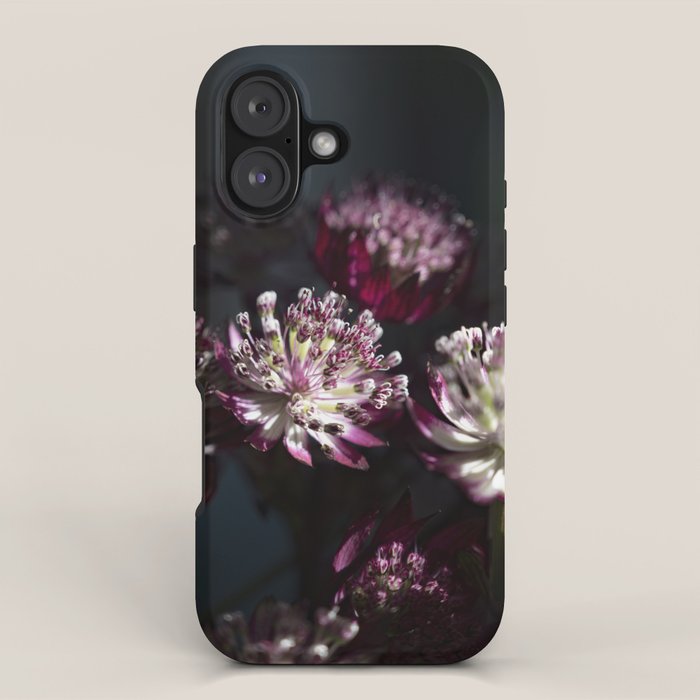 Full moon forest - still life dark astrantia major flowers - deep purple fall nature photography. iPhone Case Gallery Image 1