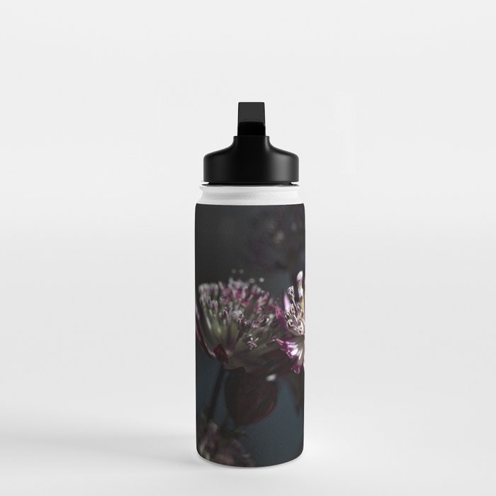 Full moon forest - still life dark astrantia major flowers - deep purple fall nature photography. Water Bottle Gallery Image 3
