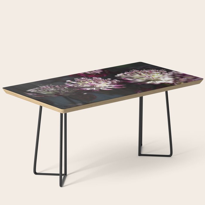 Full moon forest - still life dark astrantia major flowers - deep purple fall nature photography. Coffee Table Gallery Image 1