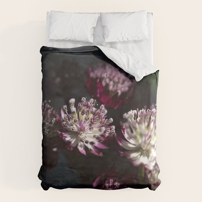 Full moon forest - still life dark astrantia major flowers - deep purple fall nature photography. Duvet Cover Gallery Image 6