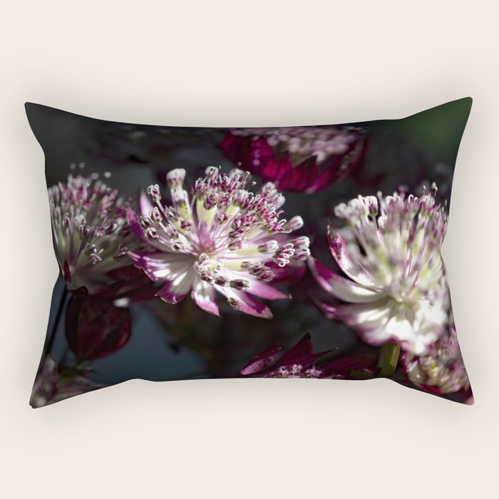 Full moon forest - still life dark astrantia major flowers - deep purple fall nature photography. Rectangular Pillow Gallery Image 1