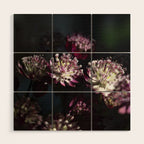 Full moon forest - still life dark astrantia major flowers - deep purple fall nature photography. Wood Wall Art Gallery Image 1