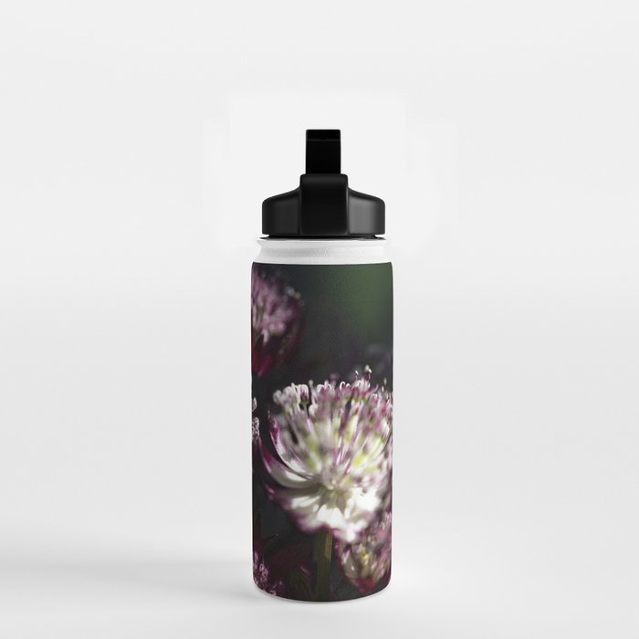 Full moon forest - still life dark astrantia major flowers - deep purple fall nature photography. Water Bottle Gallery Image 2
