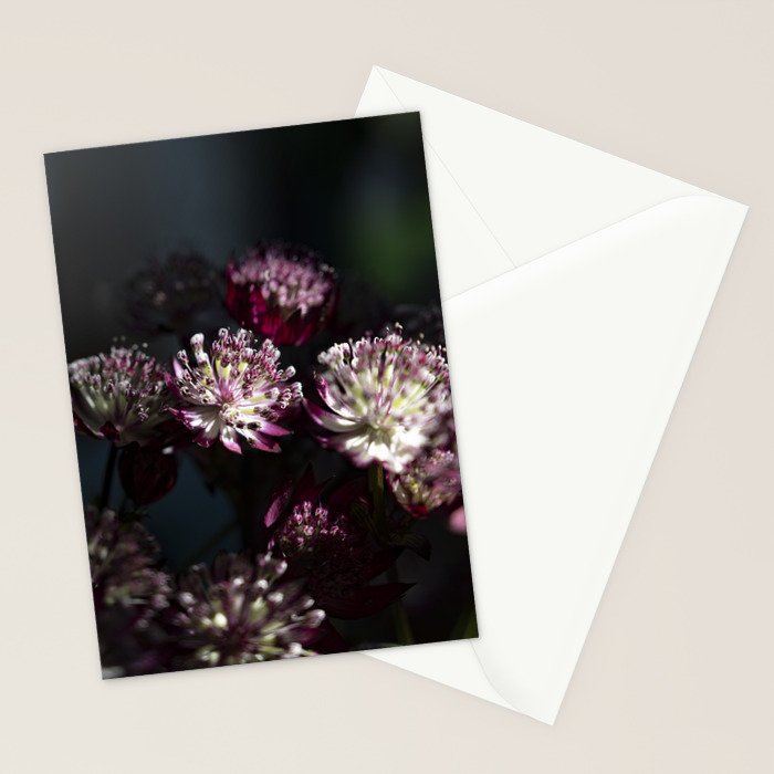 Full moon forest - still life dark astrantia major flowers - deep purple fall nature photography. Stationery Card Gallery Image 2