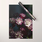 Full moon forest - still life dark astrantia major flowers - deep purple fall nature photography. Wrapping Paper Gallery Image 1