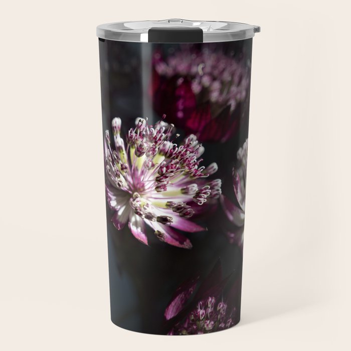 Full moon forest - still life dark astrantia major flowers - deep purple fall nature photography. Travel Mug Gallery Image 1