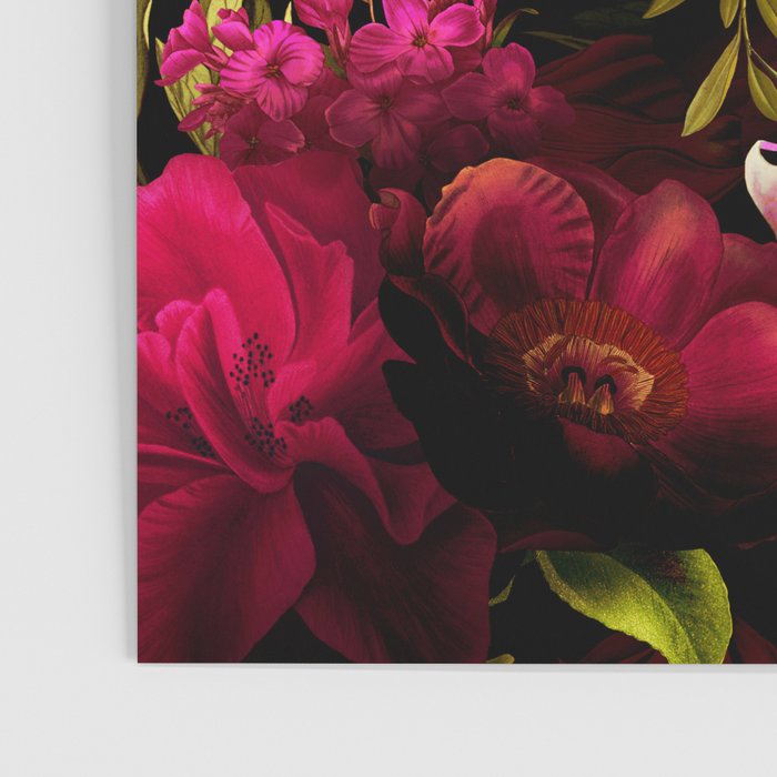 Vintage & Shabby Chic - Dark Red Antique Night Roses Botanical Garden Poster Gallery Image 3