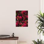 Vintage & Shabby Chic - Dark Red Antique Night Roses Botanical Garden Poster Gallery Image 2