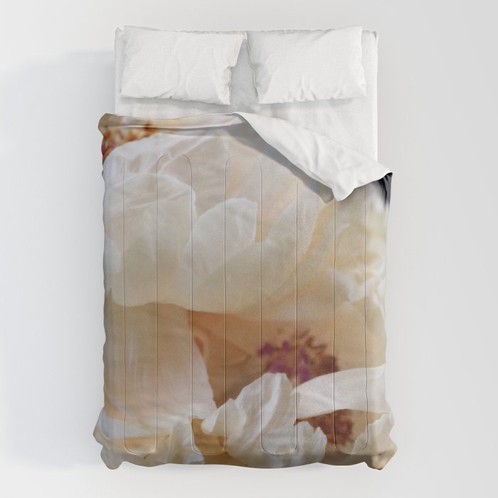 Pearl Comforter Gallery Image 6