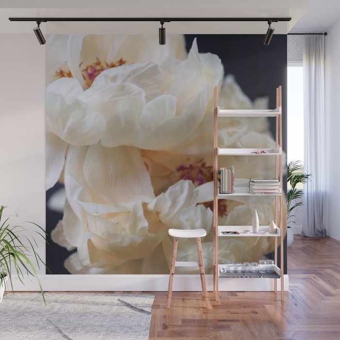 Pearl Wall Mural Gallery Image 1