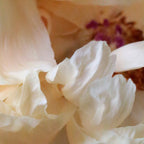 Pearl Coffee Mug Gallery Image 2